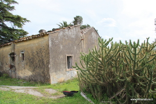 Grammena